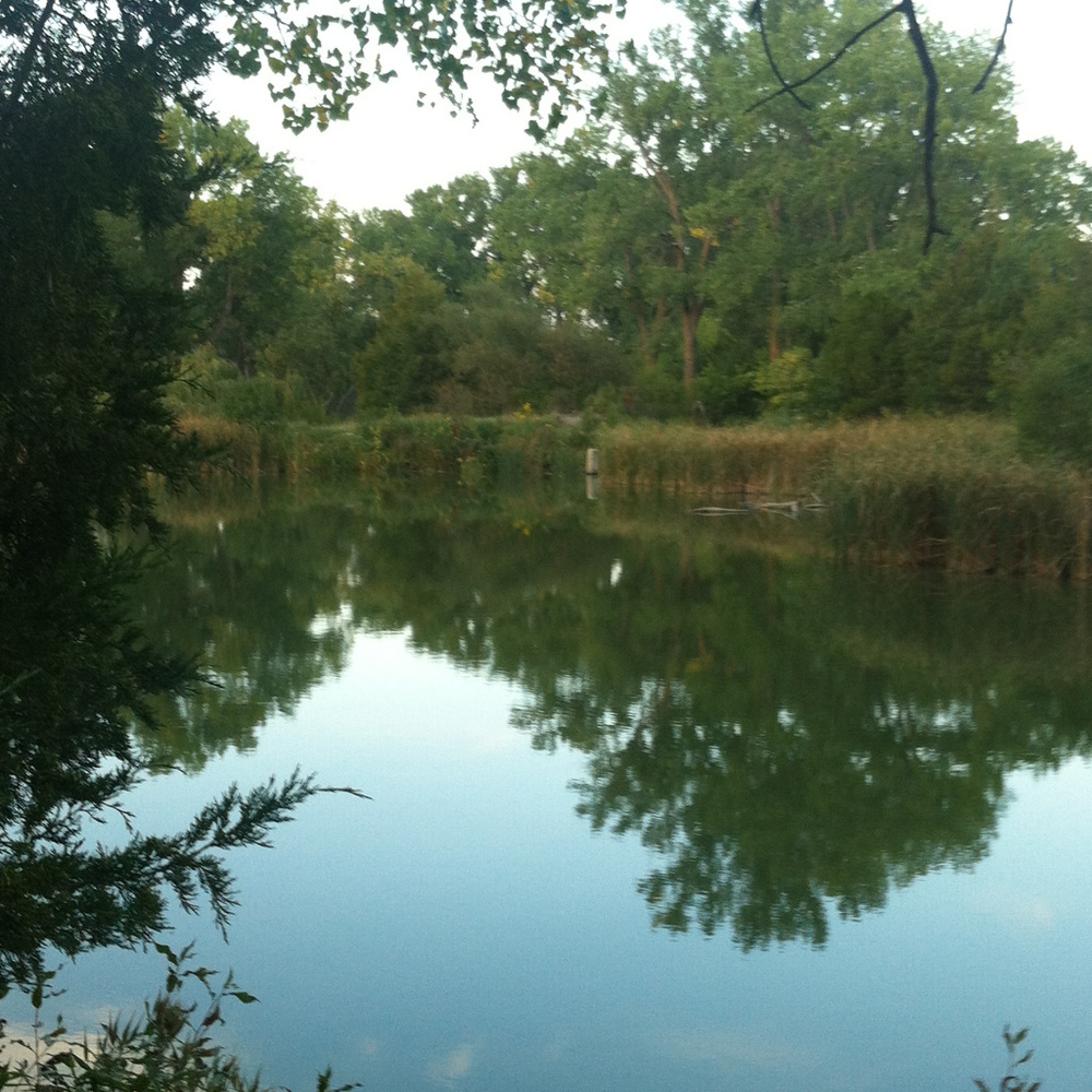 Meet your Posher, Amelia